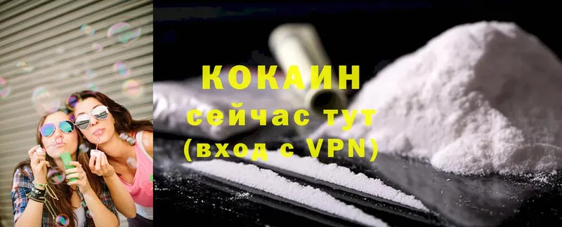 кракен как войти  наркотики  Кирс  COCAIN Эквадор 